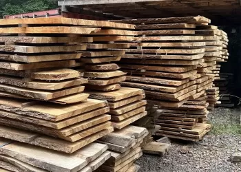 Camphor-Laurel-Wholesale-Slabs-03