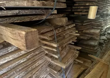 Camphor-Laurel-Wholesale-Slabs-06
